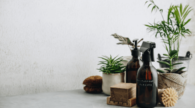 Embracing Eco-Conscious Cleaning