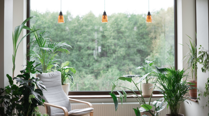 open window with plants inside