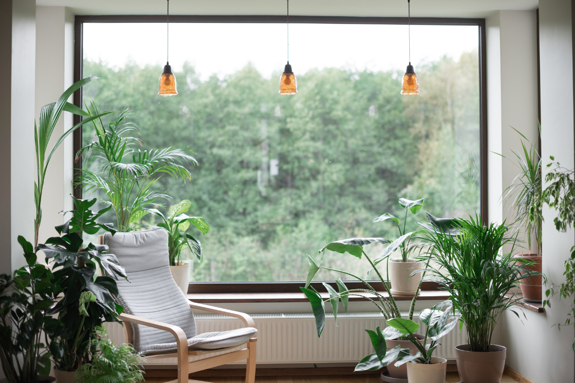 open window with plants inside