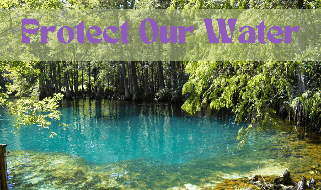 Devastating Impact of Cleaning Chemicals on Water Quality