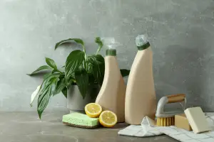 cleaning bottles, soap, and lemons