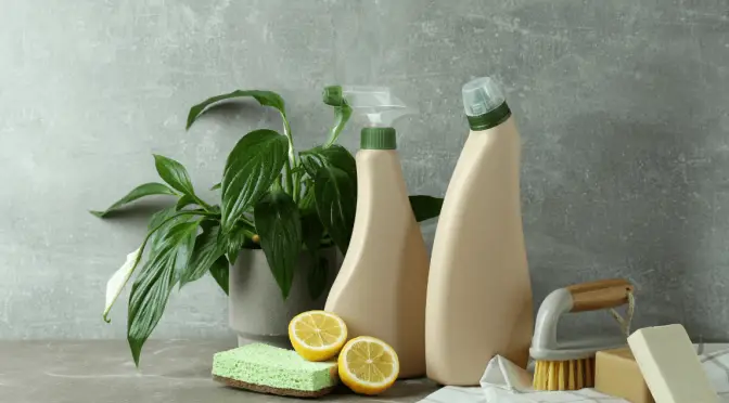 The Hidden Dangers of Bleach